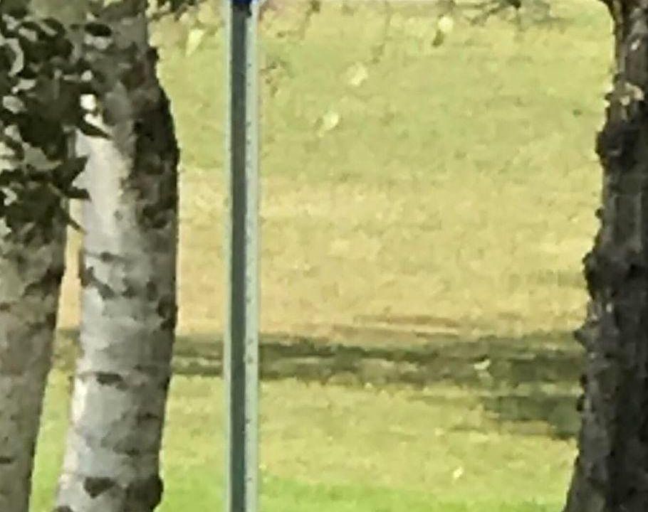 Xxx Friesland Road Dell Grove Twp, Hinckley, MN 55037 MLS 6471814