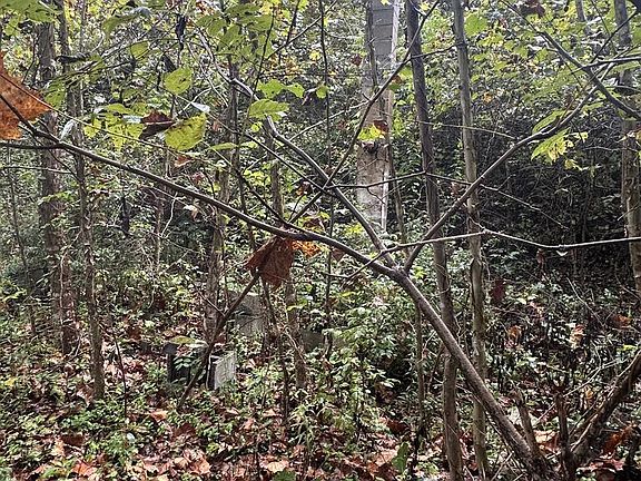 3rd image of 1662 Lewis Creek Rd