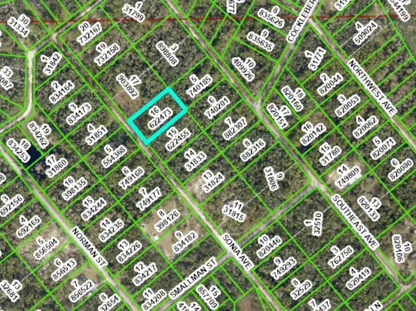 7262 Sonia Ave #16, Webster, FL 33597