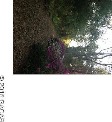1st image of 19706 NE 54th St