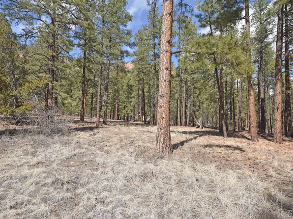 49 Cool Pnes #A, Jemez Springs, NM 87025