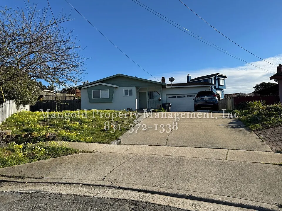 494 Jean Cir