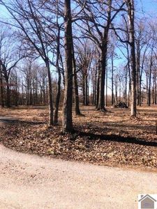 1925 Debby Dr, Paducah, KY, 42003