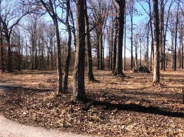 1925 Debby Dr, Paducah, KY 42003