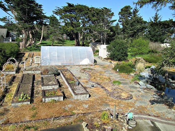 Back Yard raised beds