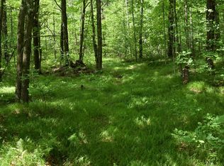 N13222 Harper Rd, Athelstane, WI 54104