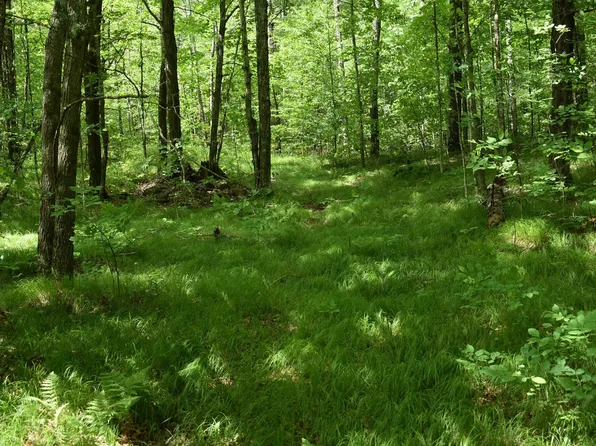 N13222 Harper Rd, Athelstane, WI 54104