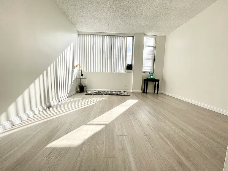 Occidental Towers Apartments — Photo 30
