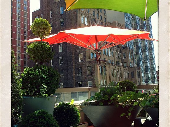 5th image of 320 W 38th St APT 923