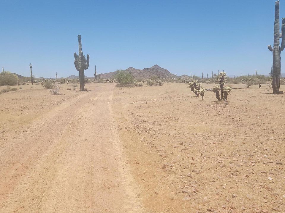 2nd image of 294XX W OLESEN Road #41