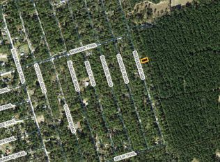 29 Iroquois Rd, Crawfordville, FL 32327