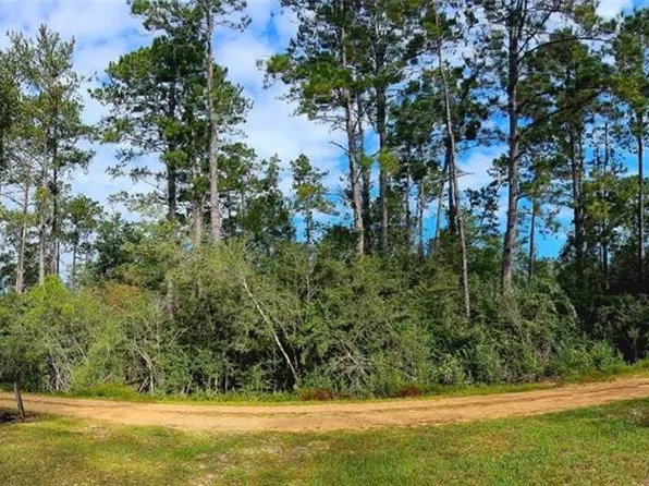 Nicole Elizabeth Dr, Franklinton, LA 70438
