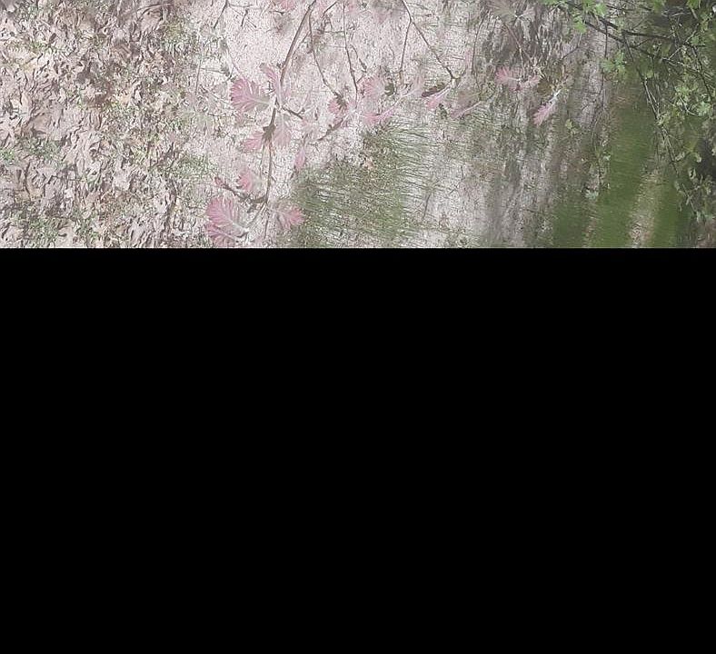 1st image of 0 Cypress Dr