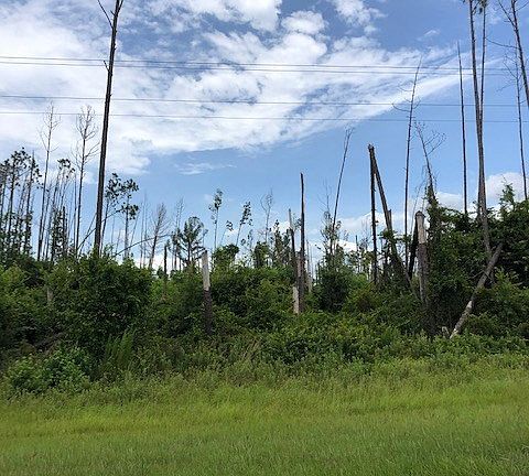 3rd image of County Road 386 N