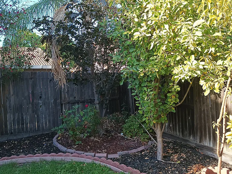 3 Tajo Ct — Photo 27