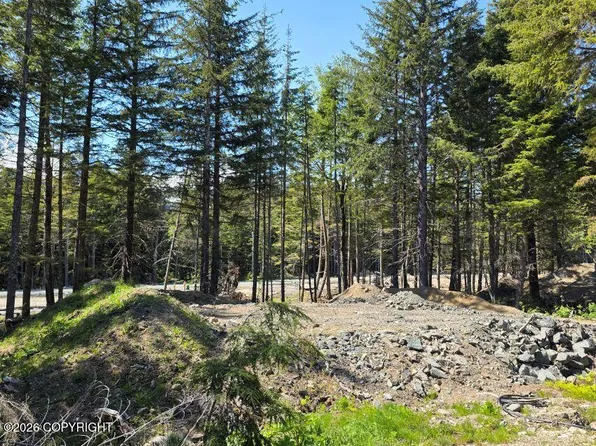 LOT 42 Martin Ave, Haines, AK 99827