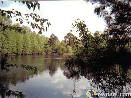 looking toward pond house