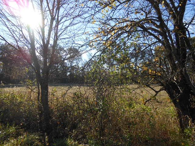 2nd image of 5019 W County Road 300 N Lot 2