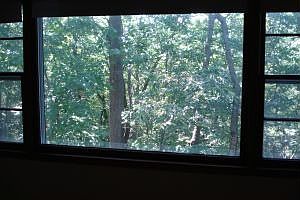 2nd image of 517 Parkade Blvd
