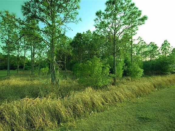 5th image of 30150 Overpass Rd #155