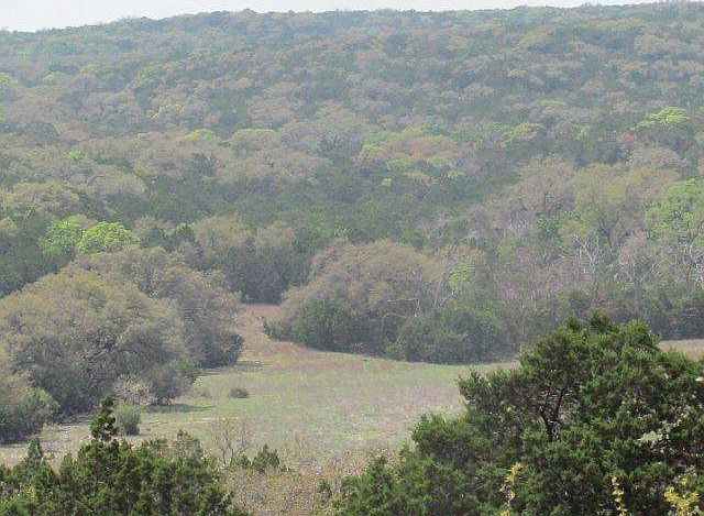 2nd image of 1535 Parton Rd