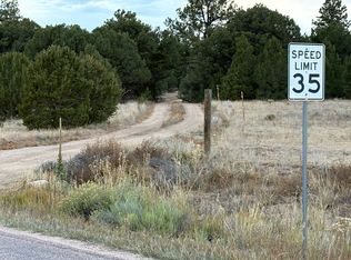 145 Coyote Run #1, Cotopaxi, CO 81223