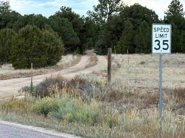 145 Coyote Run #1, Cotopaxi, CO 81223