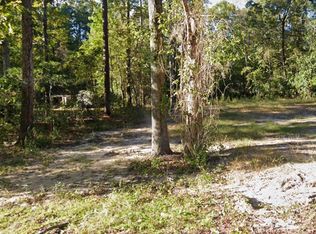 238 Pineneedle Cir, Johnsonville, SC 29555