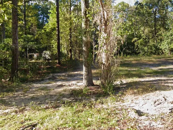 238 Pineneedle Circle, Johnsonville, SC 29555