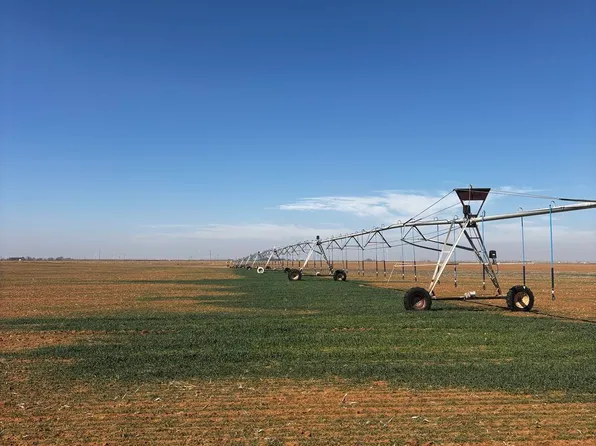 County Road Dd #26, Muleshoe, TX 79347