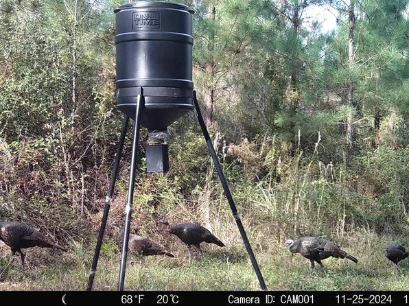 0 County Line Rd, Summit, MS 39666