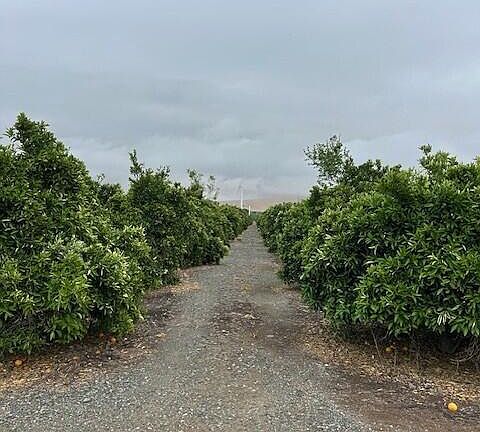 5th image of Ave 88 And Rd 264
