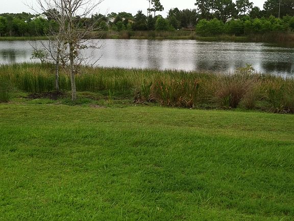 the lake in back yard