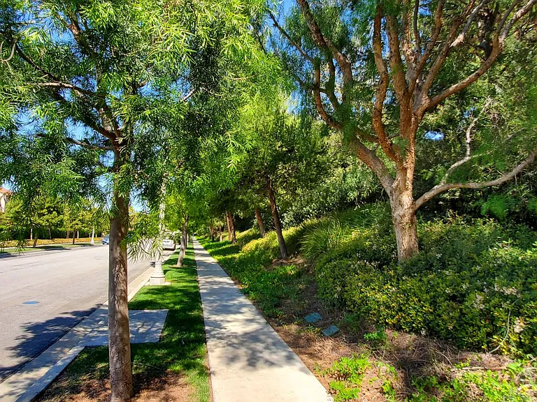 Street and Sidewalk Views