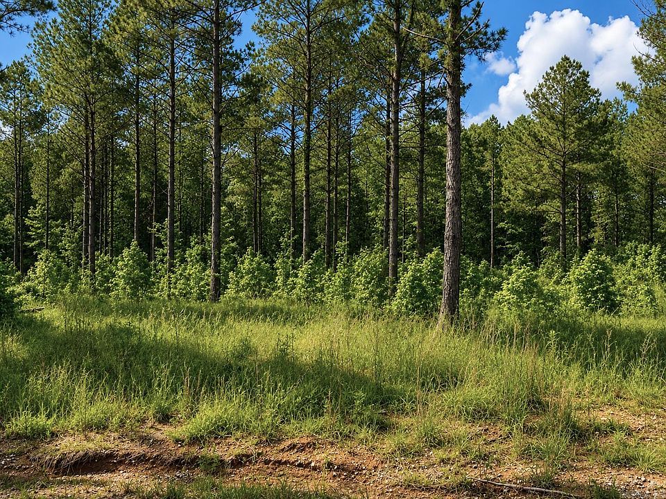 1st image of 0 Grant 761 Lot 16