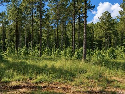 0 Grant 761 Lot 16, Sheridan, AR, 72150
