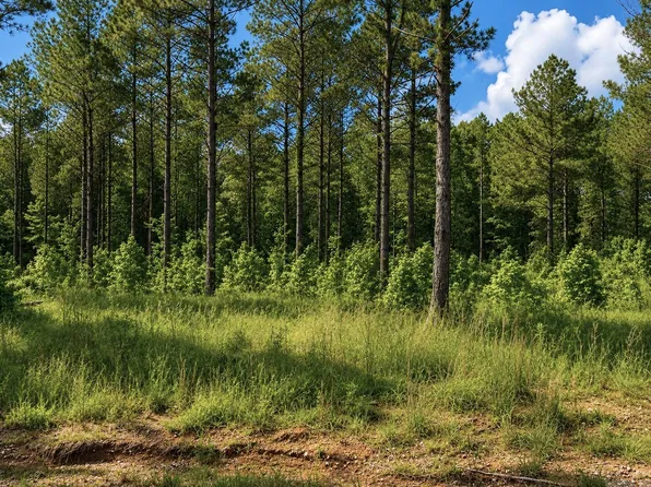 0 Grant 761 Lot 16, Sheridan, AR 72150