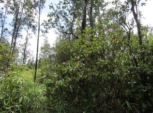 Sugarcane Ln LOT 16, Pahoa, HI 96778