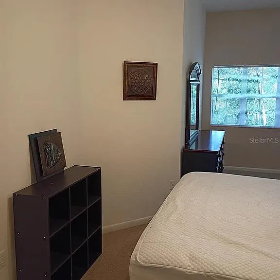 520 S Armenia Ave #1234 — Photo 9