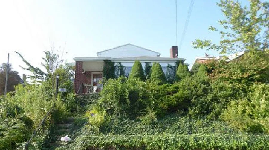 504 Halcomb Ave photo 1