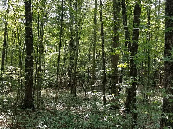 4th image of Cherokee Ln
