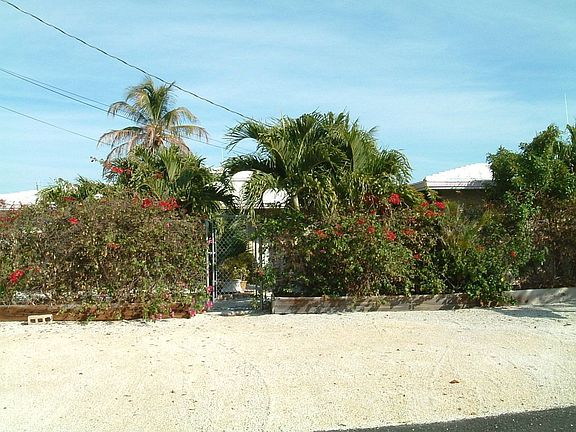 Front view- landscaping