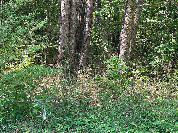 3rd image of 300-1 Landmark Rd Lot 1
