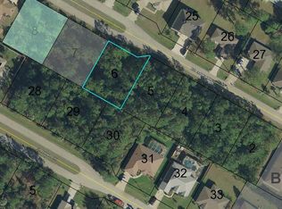 29 Buttermilk Dr, Palm Coast, FL 32137