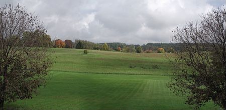 View from rear of house