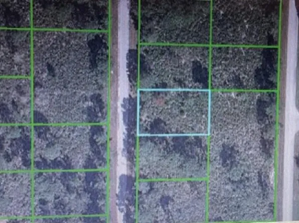 354 Norseman Ave NW, Lake Placid, FL 33852