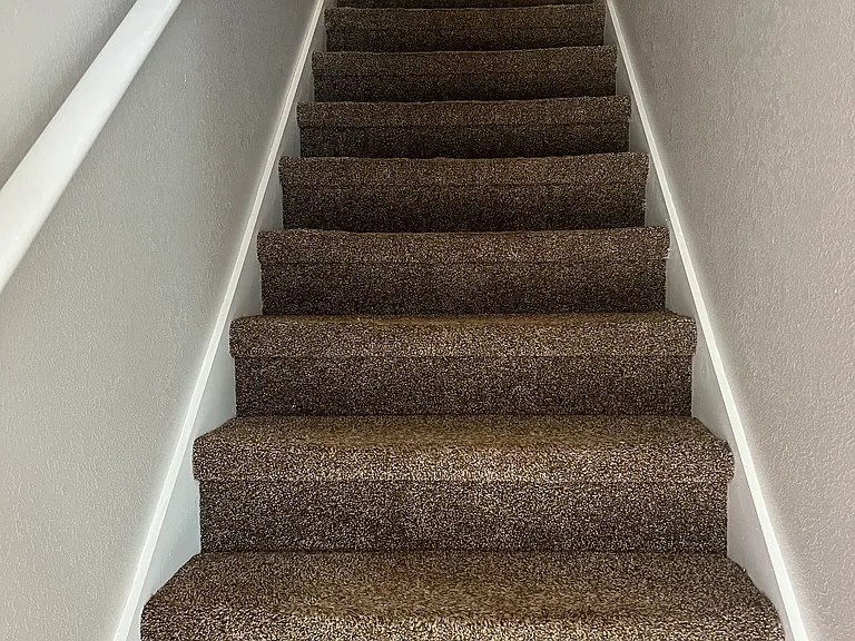 carpeted stairs, recently cleaned.