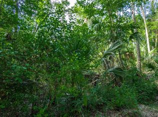 10675 W Paros Path, Homosassa, FL 34448