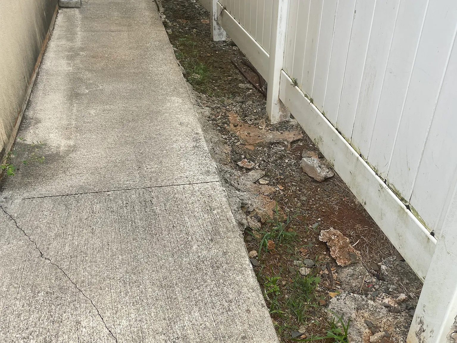 2 bed, 1200 sqft, $2,899 — Photo 4