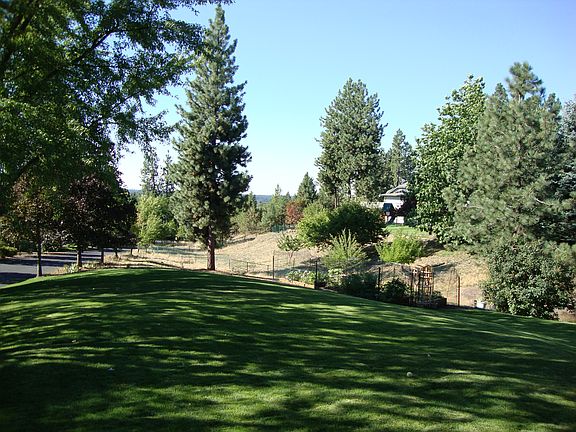 Side Yard/Lot